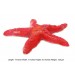 Star Fish Large Aquarium Decor